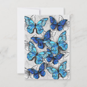 Composition of White and Blue Butterflies