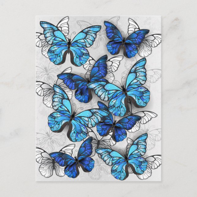 Composition of White and Blue Butterflies Advice Card (Front)