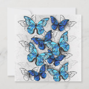 Composition of White and Blue Butterflies Advice Card