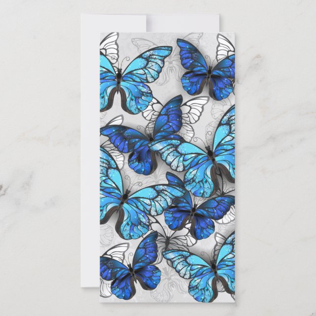 Composition of White and Blue Butterflies Announcement (Front)