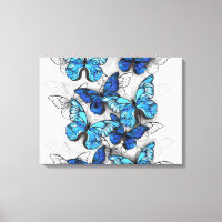 Composition of White and Blue Butterflies
