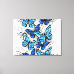Composition of White and Blue Butterflies Canvas Print