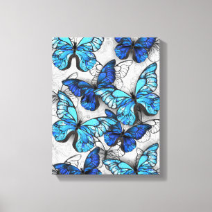 Composition of White and Blue Butterflies Canvas Print