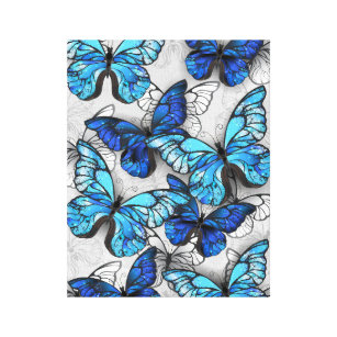 Composition of White and Blue Butterflies Canvas Print