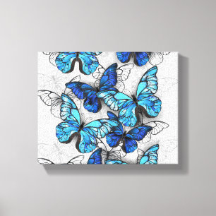 Composition of White and Blue Butterflies Canvas Print
