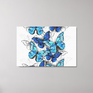 Composition of White and Blue Butterflies Canvas Print