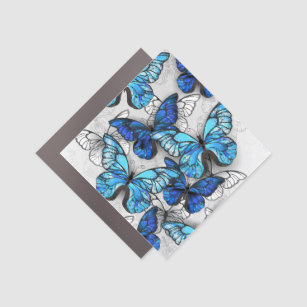 Composition of White and Blue Butterflies Car Magnet