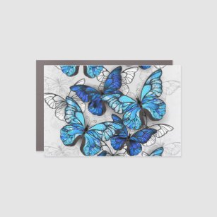 Composition of White and Blue Butterflies Car Magnet