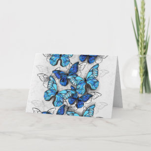 Composition of White and Blue Butterflies Card