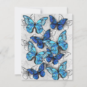 Composition of White and Blue Butterflies Card