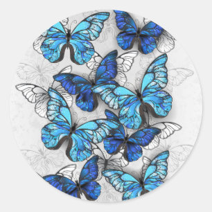 Composition of White and Blue Butterflies Classic Round Sticker