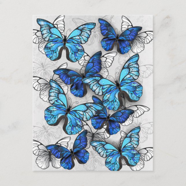 Composition of White and Blue Butterflies Enclosure Card (Front)
