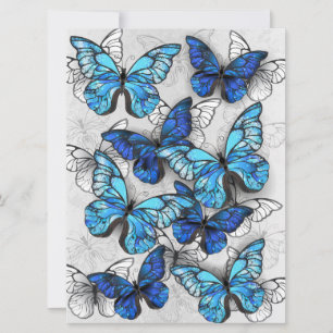 Composition of White and Blue Butterflies Holiday Card