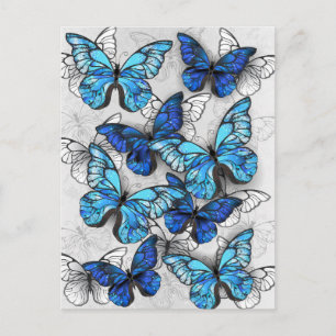 Composition of White and Blue Butterflies Holiday Postcard