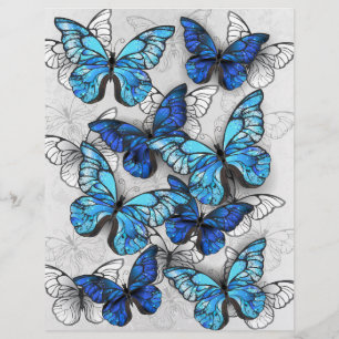 Composition of White and Blue Butterflies Letterhead