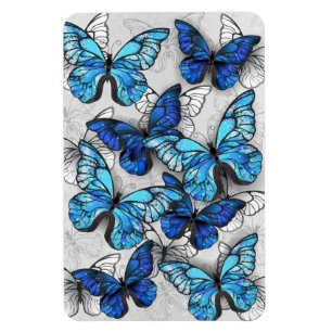 Composition of White and Blue Butterflies Magnet