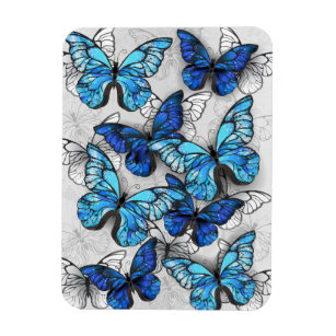 Composition of White and Blue Butterflies Magnet