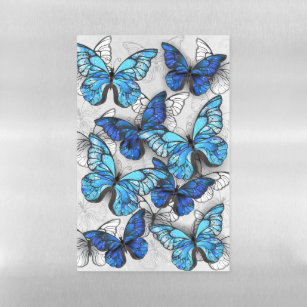 Composition of White and Blue Butterflies Magnetic Dry Erase Sheet