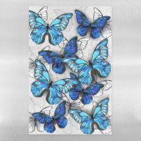 Composition of White and Blue Butterflies