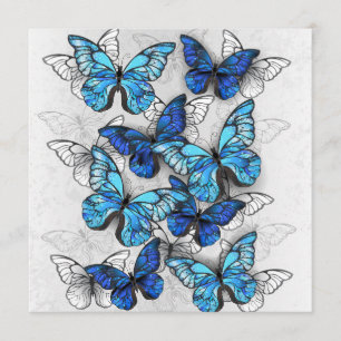 Composition of White and Blue Butterflies Menu