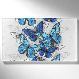 Composition of White and Blue Butterflies Name Tag