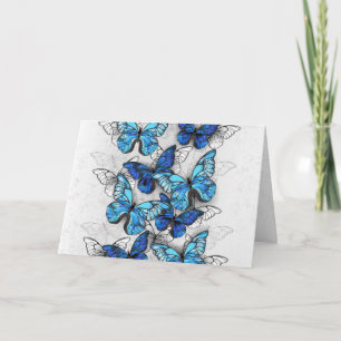 Composition of White and Blue Butterflies Note Card