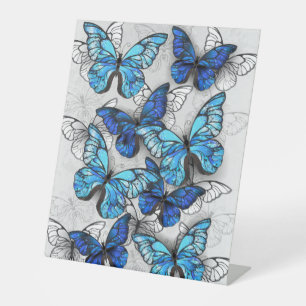 Composition of White and Blue Butterflies Pedestal Sign