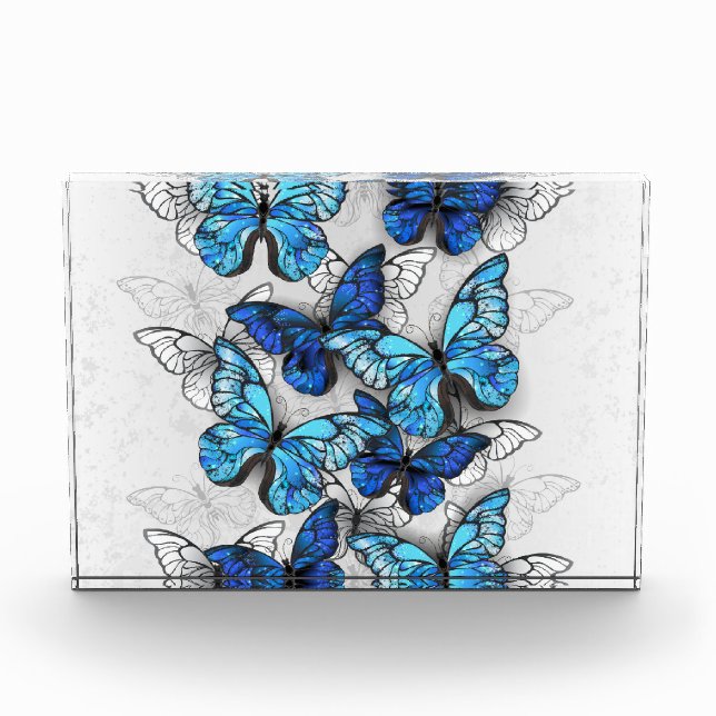 Composition of White and Blue Butterflies Photo Block (Front)