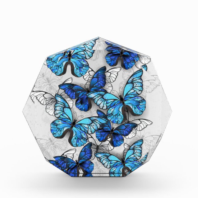 Composition of White and Blue Butterflies Photo Block (Front)