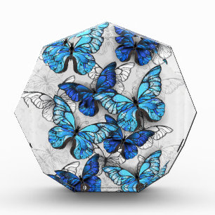 Composition of White and Blue Butterflies Photo Block