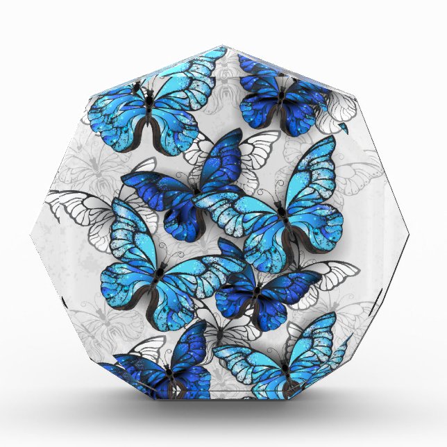 Composition of White and Blue Butterflies Photo Block (Front)