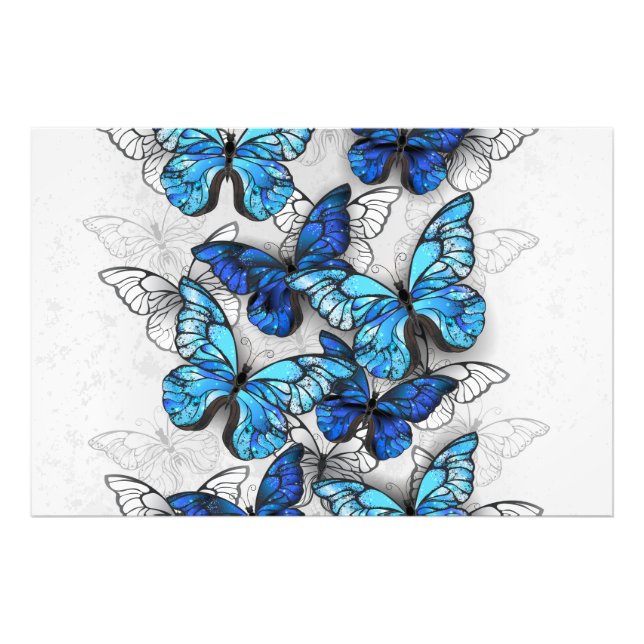 Composition of White and Blue Butterflies Photo Print (Front)