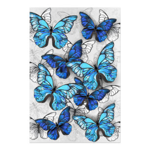 Composition of White and Blue Butterflies Photo Print