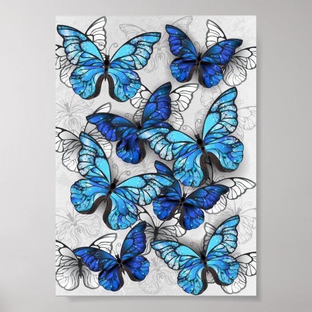Composition of White and Blue Butterflies Poster (Front)