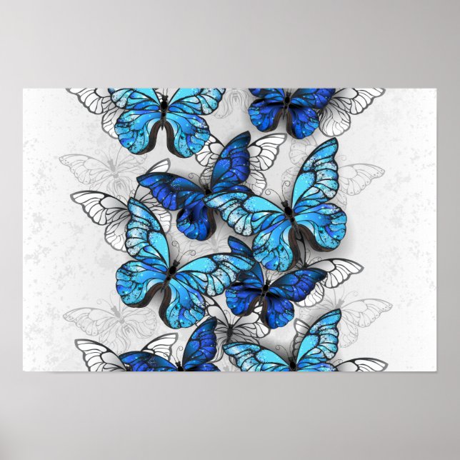 Composition of White and Blue Butterflies Poster (Front)