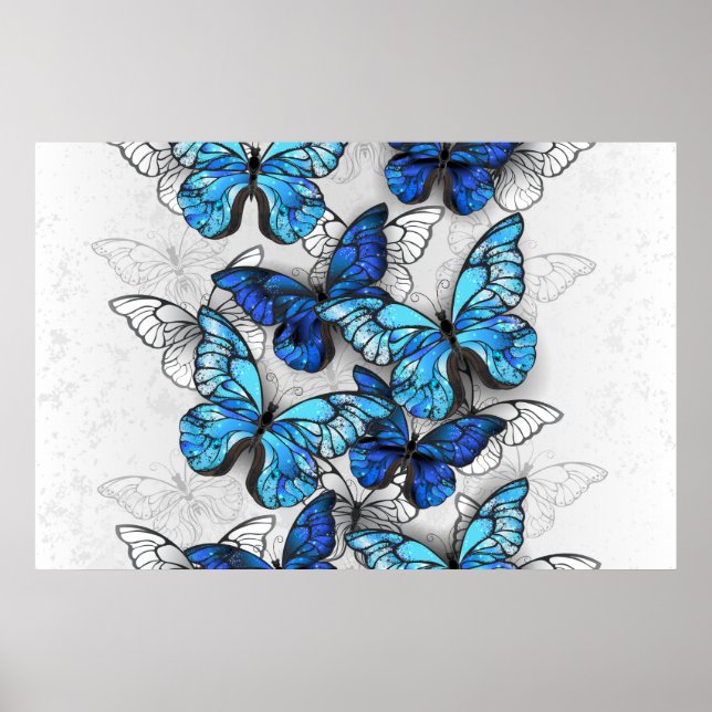 Composition of White and Blue Butterflies Poster (Front)