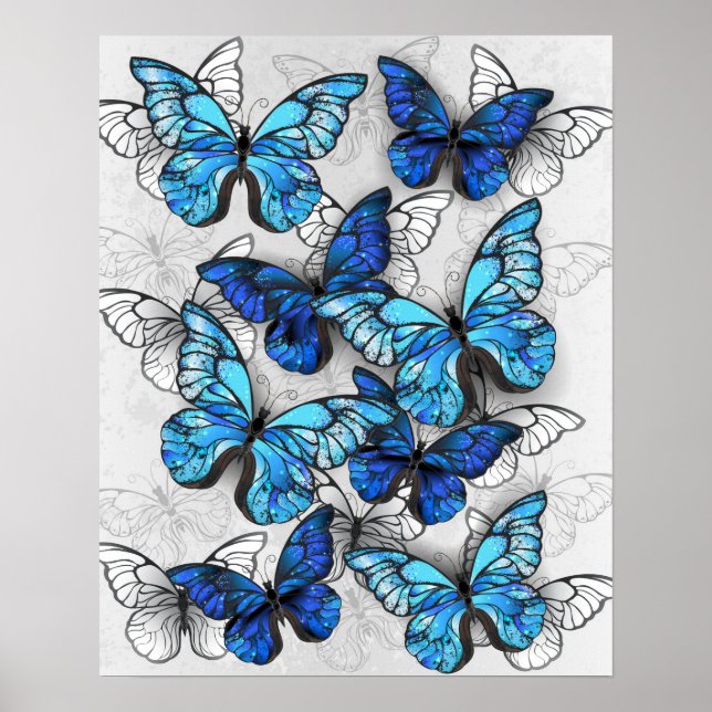 Composition of White and Blue Butterflies Poster (Front)