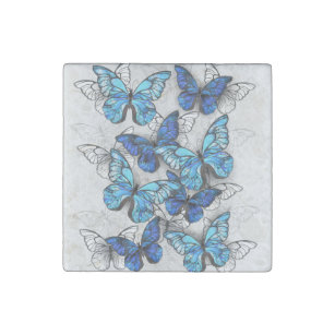Composition of White and Blue Butterflies Stone Magnets