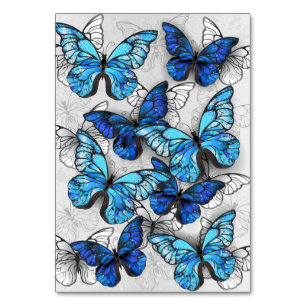 Composition of White and Blue Butterflies Table Number