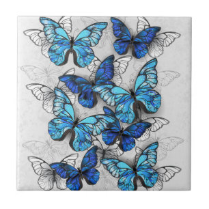 Composition of White and Blue Butterflies Tile