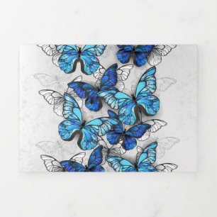 Composition of White and Blue Butterflies Tri-Fold Invitation