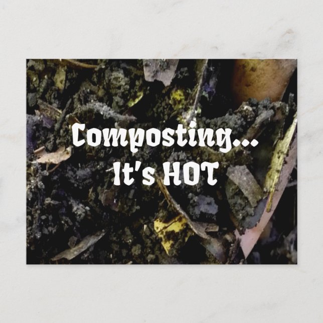 Composting...It's HOT postcard (Front)