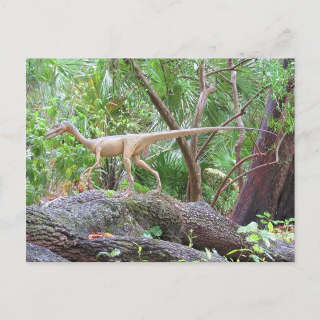 Compsognathus - Dinosaure - Carte d'apprentissage (Devant)