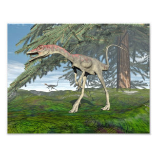Compsognathus dinosaurs - 3D render Photo Print