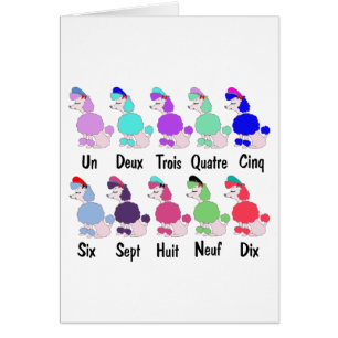 Compte du caniche français