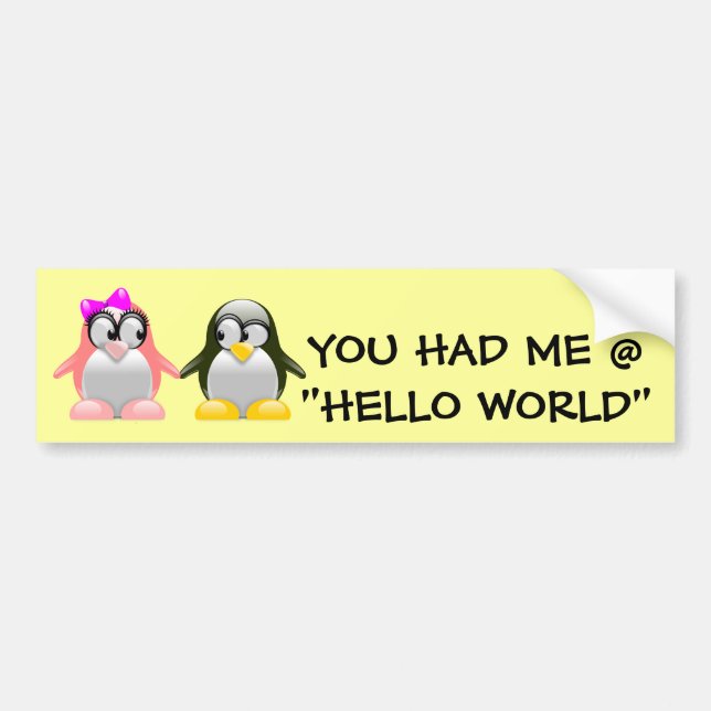 Computer Geek Valentine: Programming Language Love Bumper Sticker (Front)