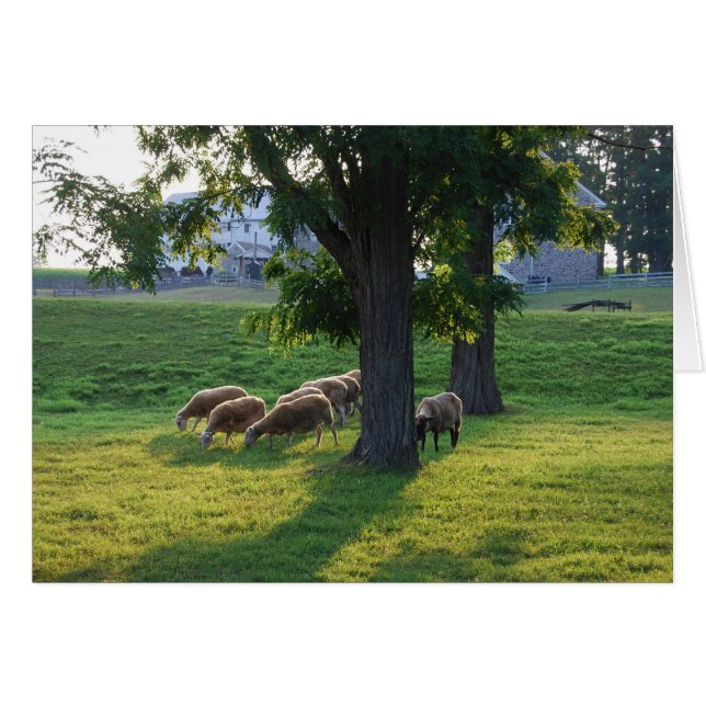 Comté de Berks, Pennsylvanie (Devant Horizontal)
