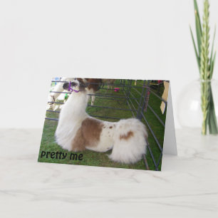CONCEITED LLAMA BIRTHDAY WISHES CARD