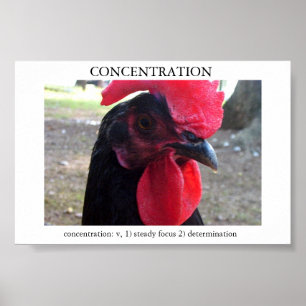 Concentration Poster