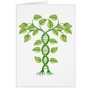 Concept de plante d'ADN